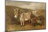 Donkeys out on the Moor, C.1890 (Oil on Canvas)-John Emms-Mounted Giclee Print