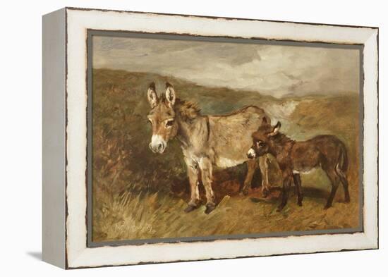 Donkeys out on the Moor, C.1890 (Oil on Canvas)-John Emms-Framed Premier Image Canvas