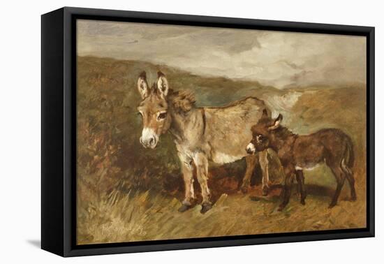 Donkeys out on the Moor, C.1890 (Oil on Canvas)-John Emms-Framed Premier Image Canvas