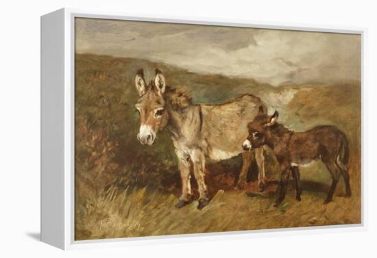 Donkeys out on the Moor, C.1890 (Oil on Canvas)-John Emms-Framed Premier Image Canvas