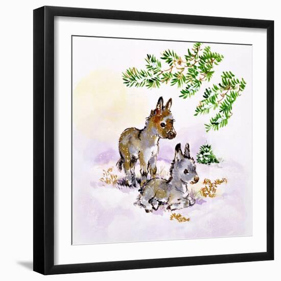 Donkeys-Diane Matthes-Framed Giclee Print