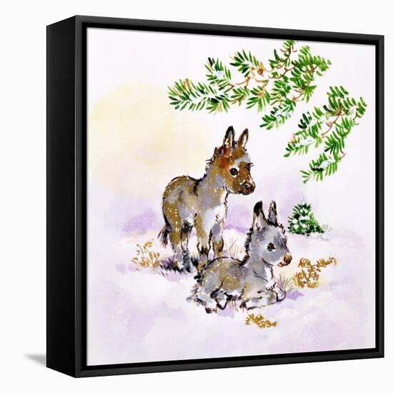 Donkeys-Diane Matthes-Framed Premier Image Canvas