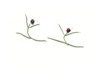 String Bean Cherrie Dancers-Donna Basile-Giclee Print