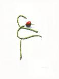 String Bean Chili Pepper Arabesque-Donna Basile-Giclee Print