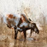 Grazing Moose-Donna Brooks-Mounted Art Print