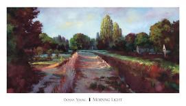 Morning Light-Donna Young-Framed Art Print