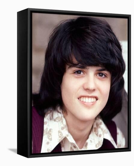 Donny Osmond-null-Framed Stretched Canvas