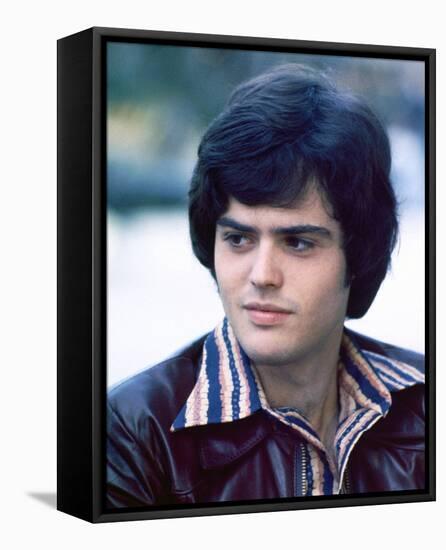 Donny Osmond-null-Framed Stretched Canvas