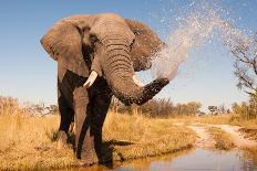 Elephant Spraying Water with His Trunk-Donovan van Staden-Photographic Print