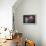 Donut Balloon-Octavian Mielu-Framed Stretched Canvas displayed on a wall