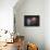 Donut Balloon-Octavian Mielu-Framed Stretched Canvas displayed on a wall