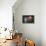 Donut Balloon-Octavian Mielu-Framed Stretched Canvas displayed on a wall