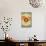 Donuts On Retro Card-elfivetrov-Mounted Art Print displayed on a wall