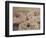 Donuts-Jennifer Kennard-Framed Photographic Print