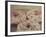 Donuts-Jennifer Kennard-Framed Photographic Print