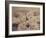 Donuts-Jennifer Kennard-Framed Photographic Print