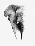 Artistic Black And White Elephant-Donvanstaden-Framed Art Print