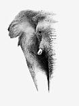 Artistic Black And White Elephant-Donvanstaden-Mounted Art Print