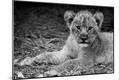 Premium Giclee Print