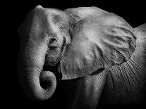 Elephant-Donvanstaden-Framed Art Print