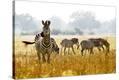 Stretched Canvas Print