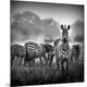 Premium Giclee Print