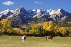 Dallas Divide, Uncompahgre National Forest, Colorado-Donyanedomam-Photographic Print