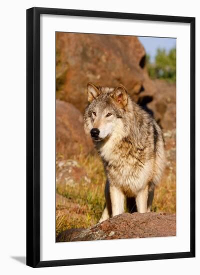 Photographic Print, , large