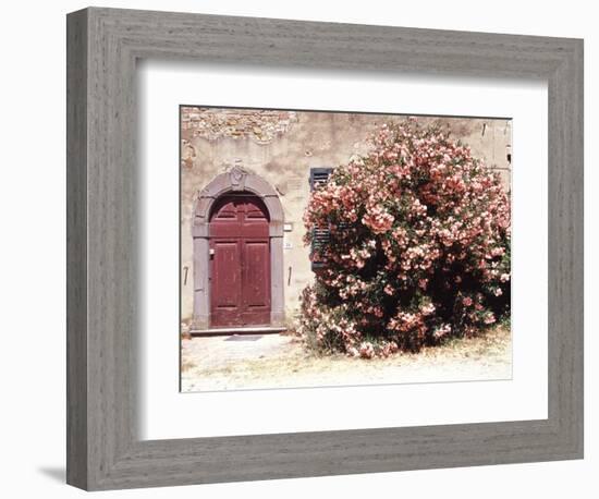 Door and Pink Oleander Flowers, Lucardo, Tuscany, Italy-Michele Molinari-Framed Photographic Print