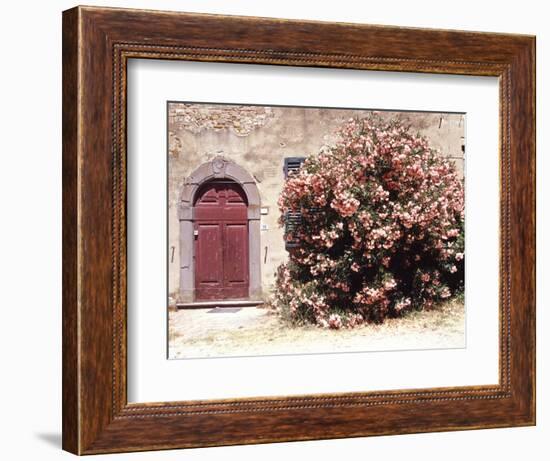 Door and Pink Oleander Flowers, Lucardo, Tuscany, Italy-Michele Molinari-Framed Photographic Print