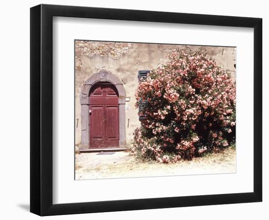 Door and Pink Oleander Flowers, Lucardo, Tuscany, Italy-Michele Molinari-Framed Photographic Print