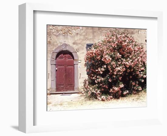 Door and Pink Oleander Flowers, Lucardo, Tuscany, Italy-Michele Molinari-Framed Photographic Print