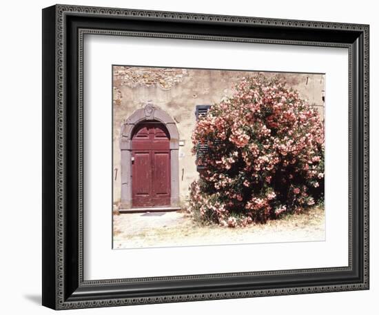 Door and Pink Oleander Flowers, Lucardo, Tuscany, Italy-Michele Molinari-Framed Photographic Print