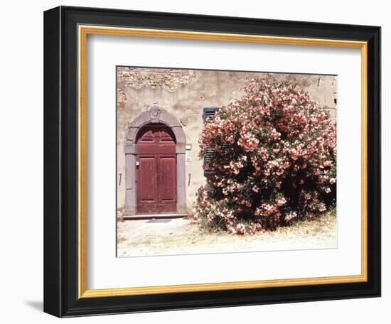 Door and Pink Oleander Flowers, Lucardo, Tuscany, Italy-Michele Molinari-Framed Photographic Print