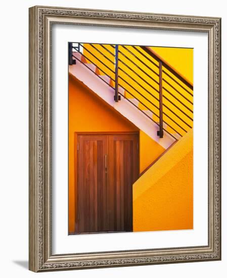 Door at the Bottom of a Stairway in Southern Ireland-Tom Haseltine-Framed Photographic Print