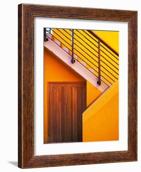 Door at the Bottom of a Stairway in Southern Ireland-Tom Haseltine-Framed Photographic Print