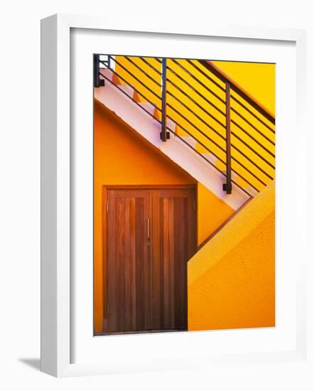 Door at the Bottom of a Stairway in Southern Ireland-Tom Haseltine-Framed Photographic Print