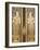 Door at Wat Pho Temple, Rattanakosin District, Bangkok, Thailand, Southeast Asia-Richard Cummins-Framed Photographic Print