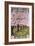 Door County, Wisconsin - Cherry Blossoms-Lantern Press-Framed Premium Giclee Print