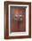 Door, Fez, Morocco, North Africa, Africa-Neil Farrin-Framed Photographic Print