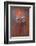 Door, Fez, Morocco, North Africa, Africa-Neil Farrin-Framed Photographic Print