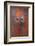 Door, Fez, Morocco, North Africa, Africa-Neil Farrin-Framed Photographic Print