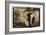 Door in the Woods-Theo Westenberger-Framed Photographic Print