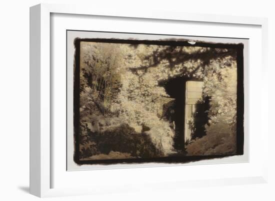 Door in the Woods-Theo Westenberger-Framed Photographic Print