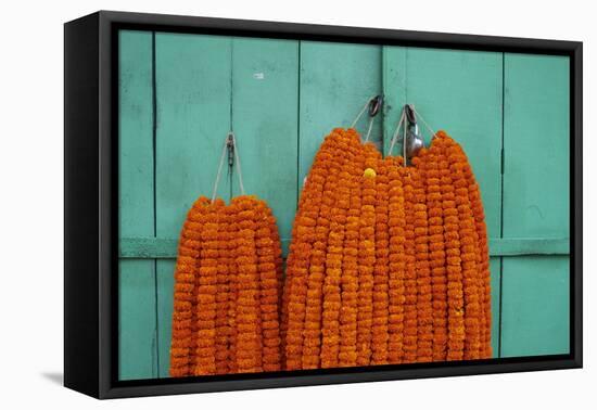 Door, Padlock and Flower Garlands, Kolkata (Calcutta), West Bengal, India, Asia-Bruno Morandi-Framed Premier Image Canvas