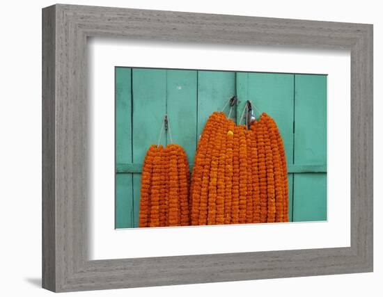 Door, Padlock and Flower Garlands, Kolkata (Calcutta), West Bengal, India, Asia-Bruno Morandi-Framed Photographic Print