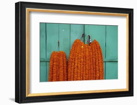 Door, Padlock and Flower Garlands, Kolkata (Calcutta), West Bengal, India, Asia-Bruno Morandi-Framed Photographic Print