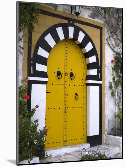 Door, Sidi Bou Said, Near Tunis, Tunisia, North Africa, Africa-Ethel Davies-Mounted Photographic Print