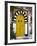 Door, Sidi Bou Said, Near Tunis, Tunisia, North Africa, Africa-Ethel Davies-Framed Photographic Print