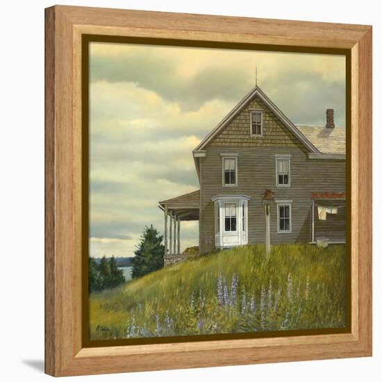 Door yard Lupines-Jerry Cable-Framed Premier Image Canvas